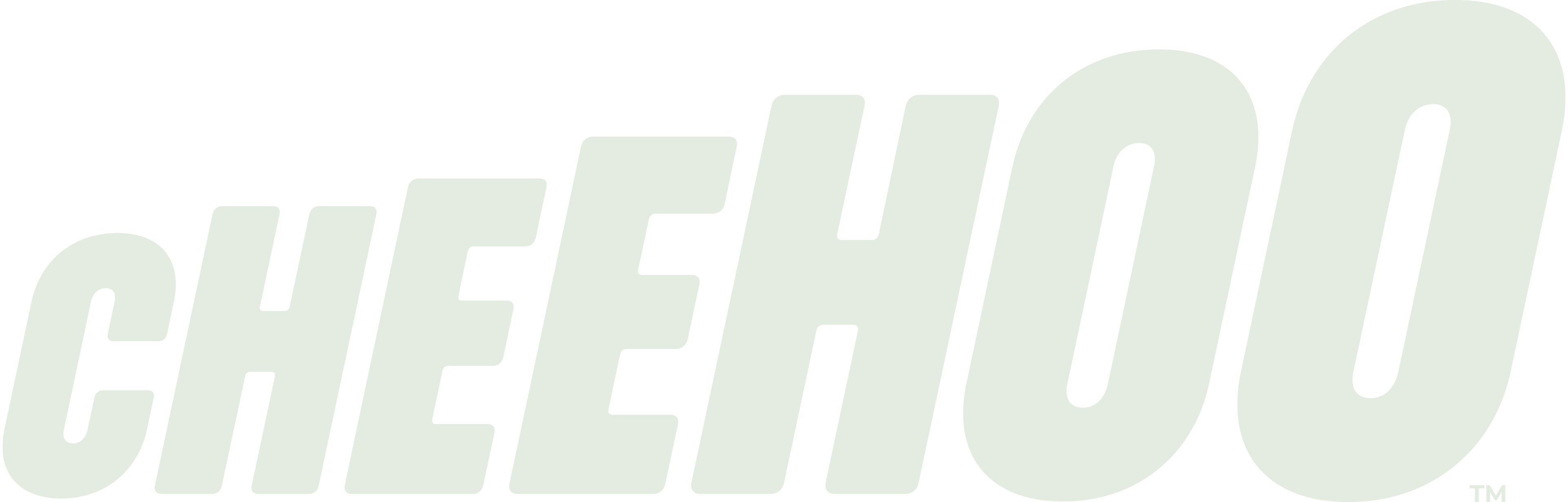 Cheehoo Animation Logo